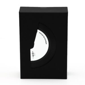 Filippo Sorcinelli Organ #7 box