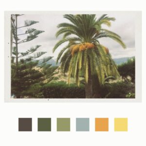 Maya Njie Tropica inspiration